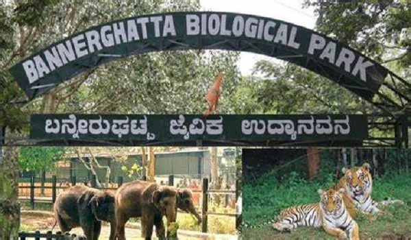 Bannerghatta Biological Park Bannerghatta Biological Park