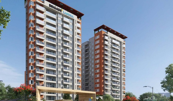 Featured image of Brigade Laguna