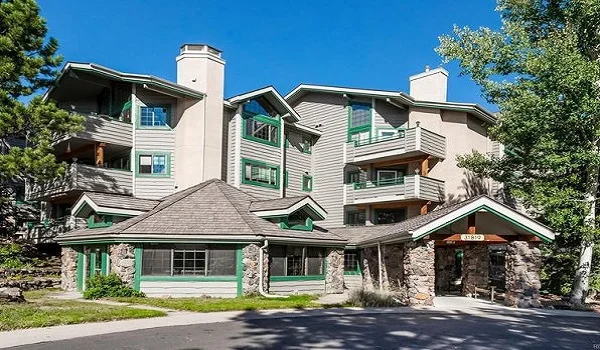 Featured image of Prestige Evergreen Featured image of Prestige Evergreen