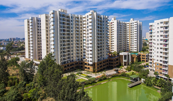 Serenity Gardens Featured image of Serenity Gardens